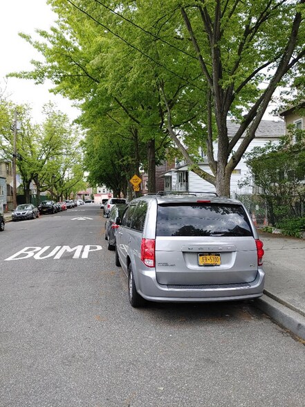 Tree lined Street - 4137 Boyd Ave