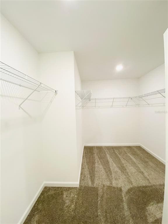 Building Photo - 4343 Sunny Creek Pl