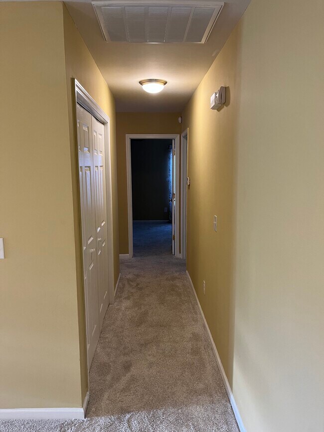 Hallway - 166 Larck Crest Ln