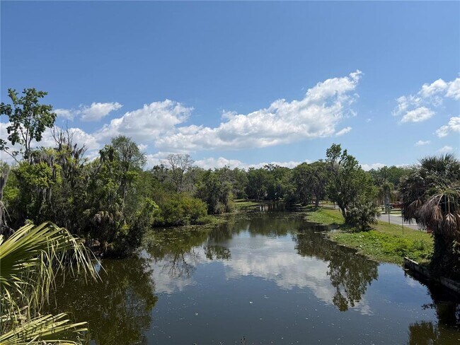 Building Photo - 804 Palm Harbor Ct