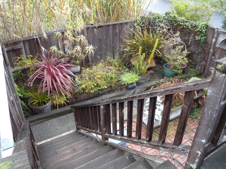 Building Photo - 913 Camelia St