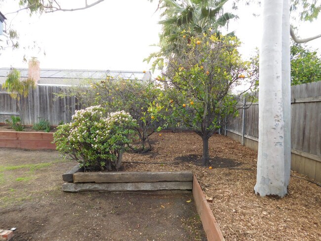 Building Photo - Charming 3 Bedroom Home in North Goleta