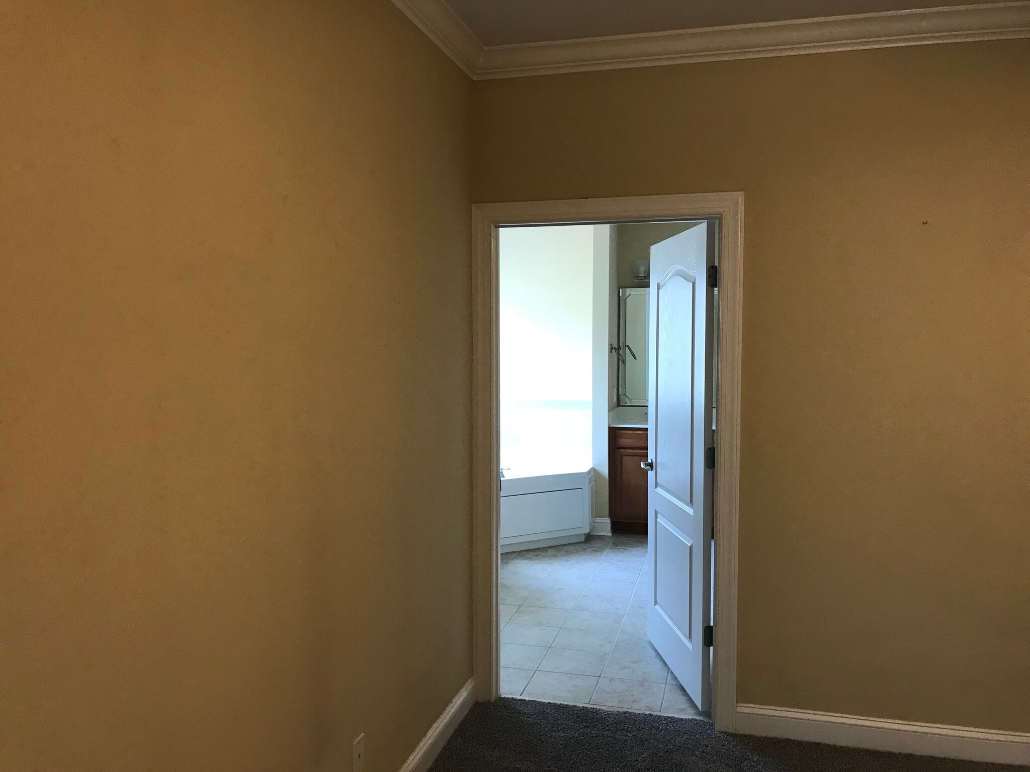 Looking into primary bathroom - 1931 Dante Ln