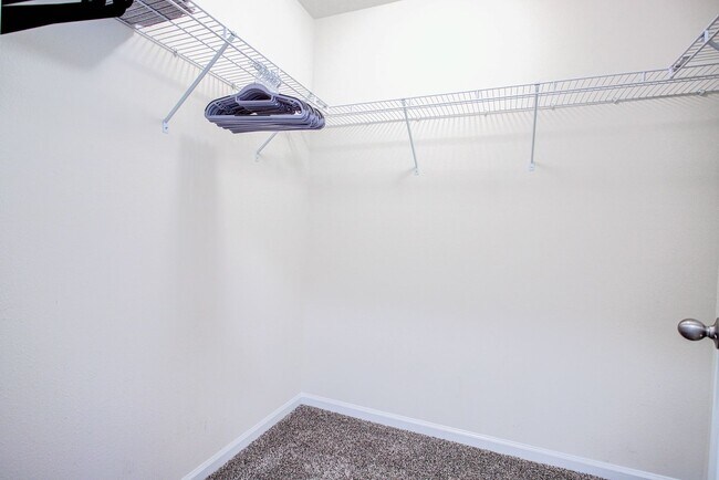 Building Photo - MOVE-IN READY 3/2 IN ENTRADA!