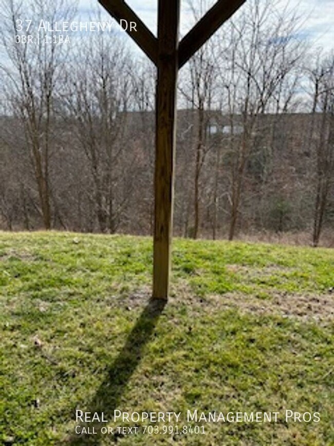 Building Photo - 37 Allegheny Dr