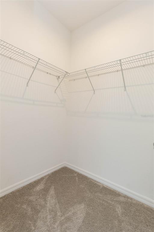 Building Photo - 1119 Lady Gouldian Ct