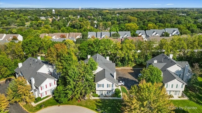 Building Photo - 313 Windsor Ct