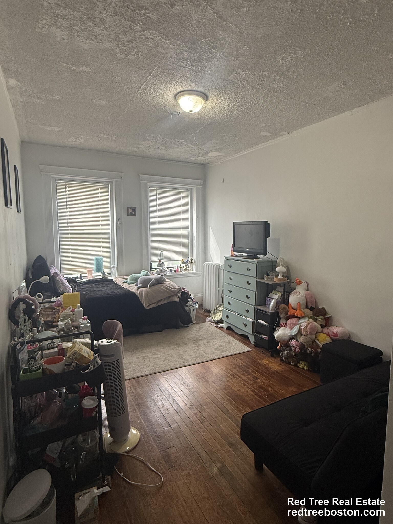 Building Photo - 238 Hemenway St