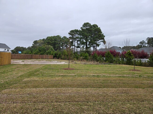 Building Photo - 4 bedroom, 3.5 bath Hampstead home in Magnolia Reserves Community