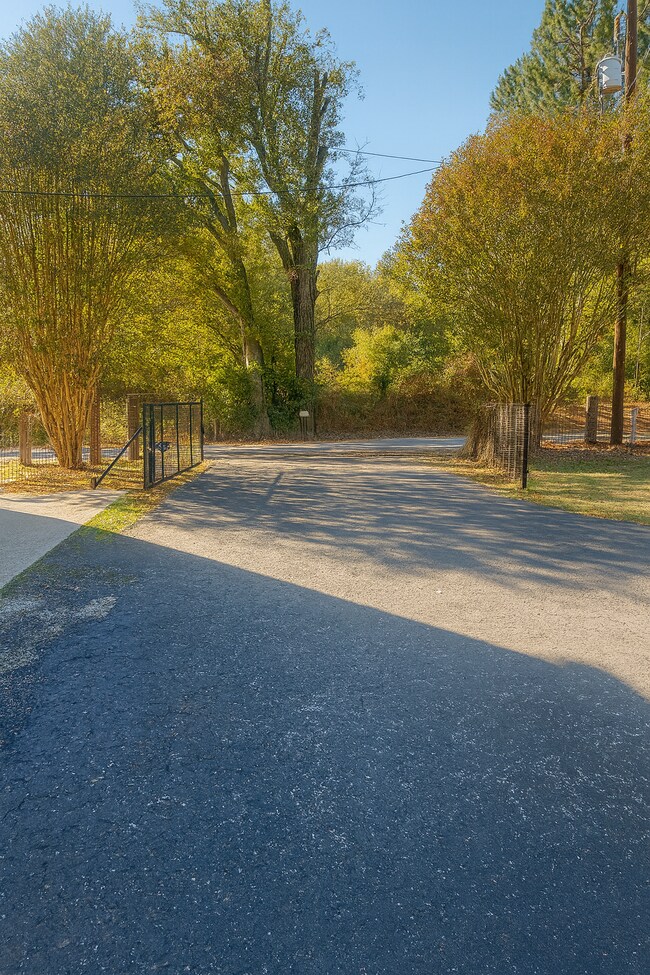 Building Photo - 953 Co Rd 2774