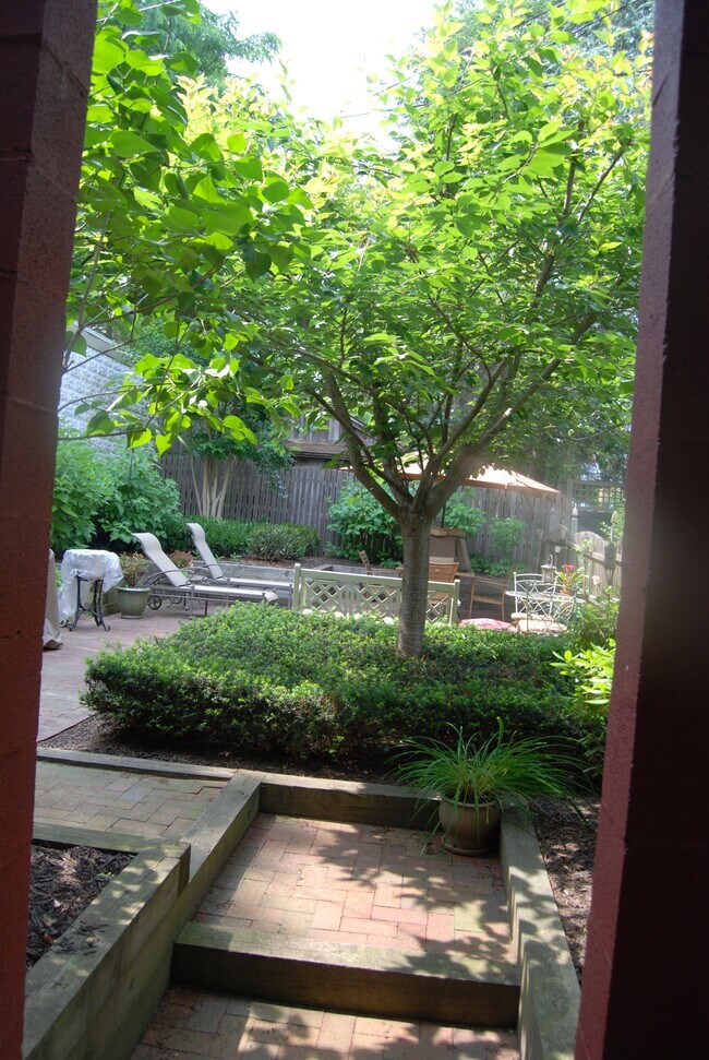 Courtyard - 29 Dean St