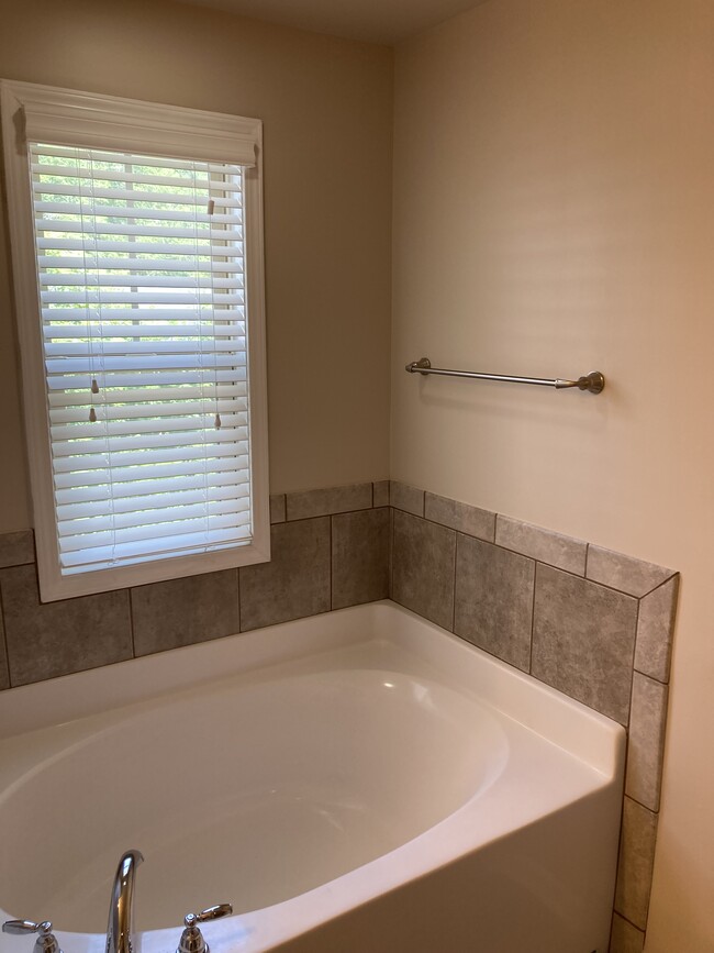 Master Tub - 205 Dellwood Dr