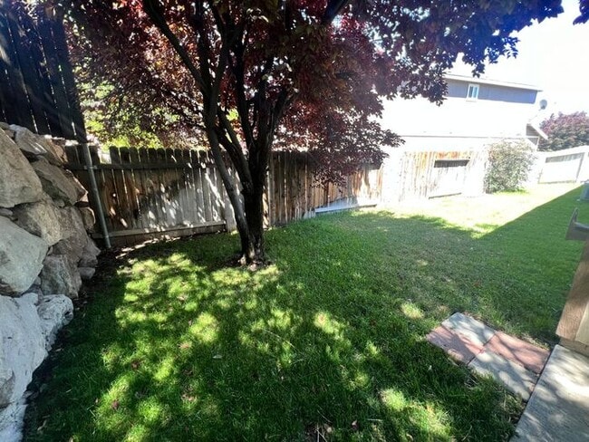Building Photo - 1585 Roma Ct