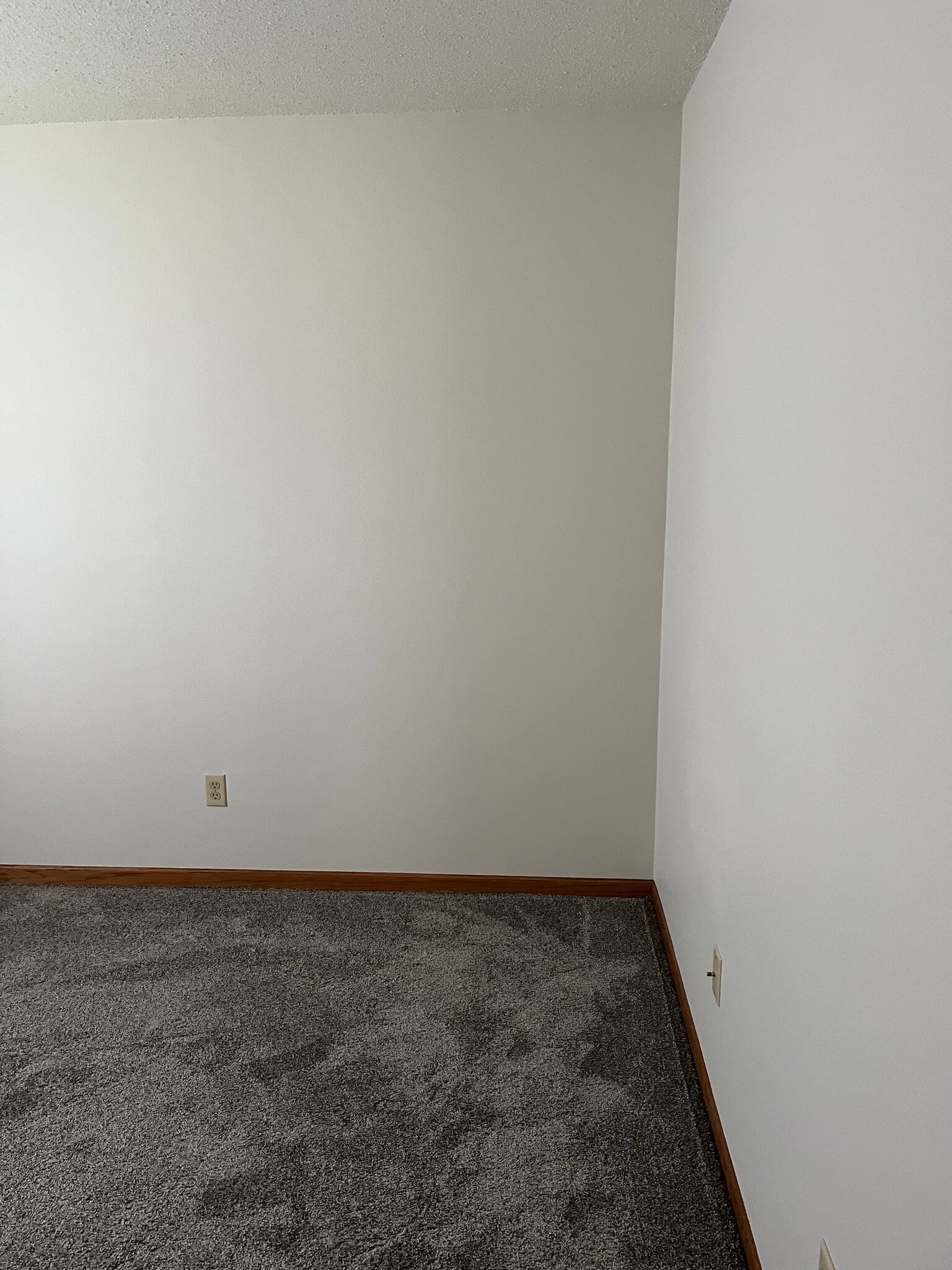 Building Photo - 2207 Oakleaf St