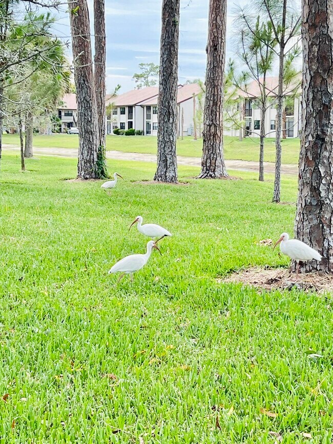 Building Photo - 4725 Lucerne Lakes Blvd E