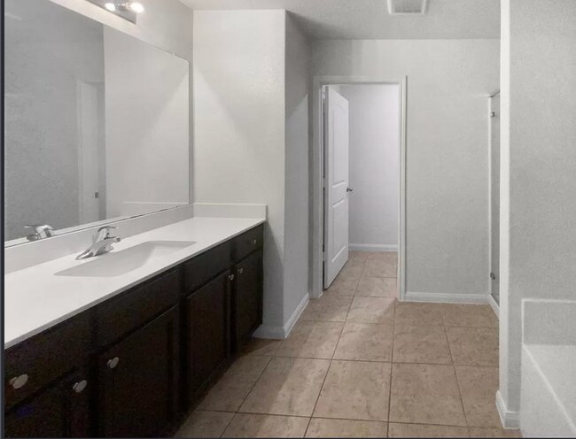 Master Bath - 20000 Woodrow Wilson St