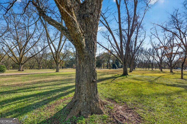 Building Photo - 741 East Ave