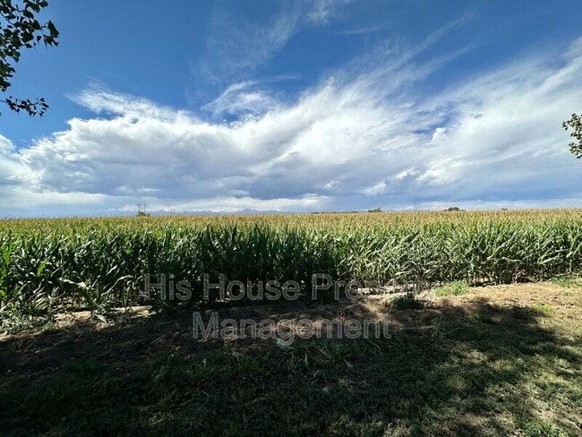 Building Photo - 13515 Weld County Rd 5