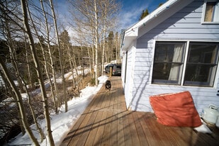 South facing deck - 2 Nelson St