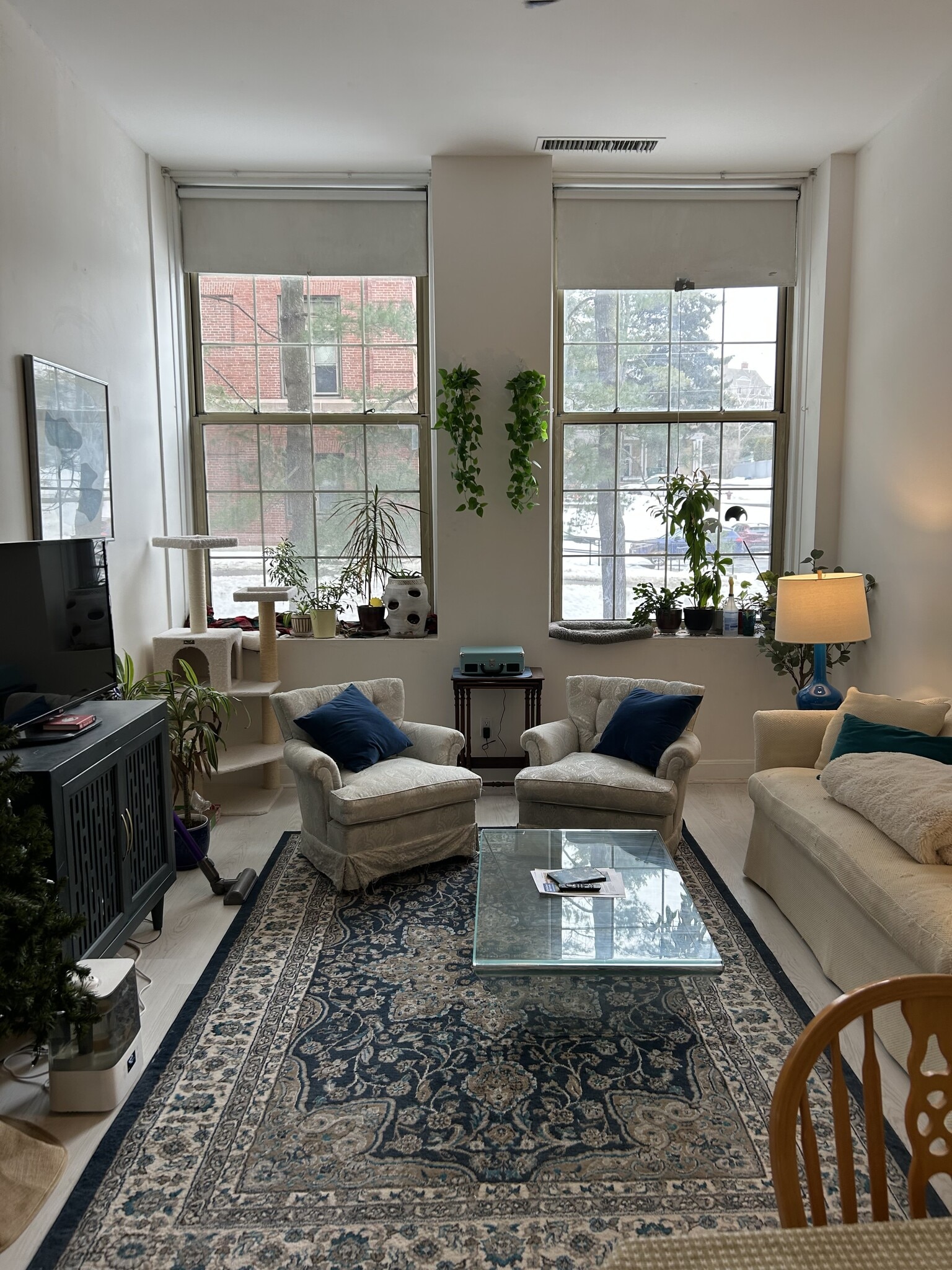 Building Photo - 48 Forest St