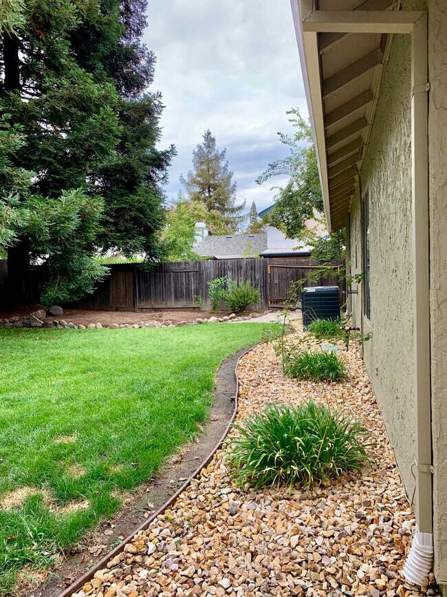 Backyard - 647 Hovey Way