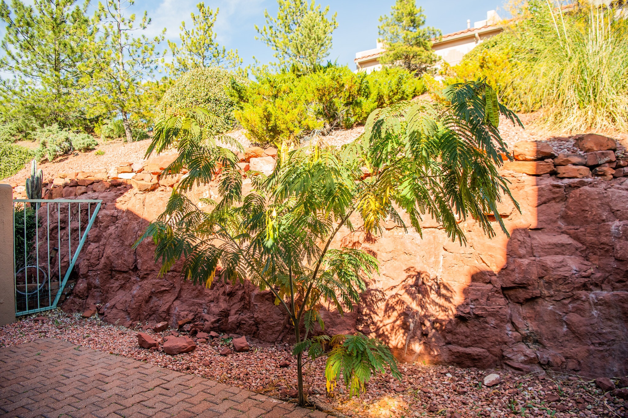 Building Photo - 102 Pine Leaf Ln