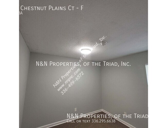 Building Photo - 1398 Chestnut Plains Ct