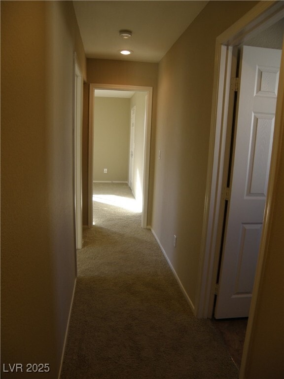 Building Photo - 1004 Appaloosa Hills Ave