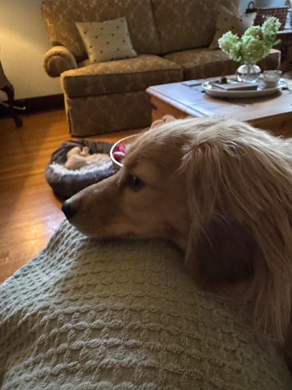 Building Photo - 1022 W 19th Ave