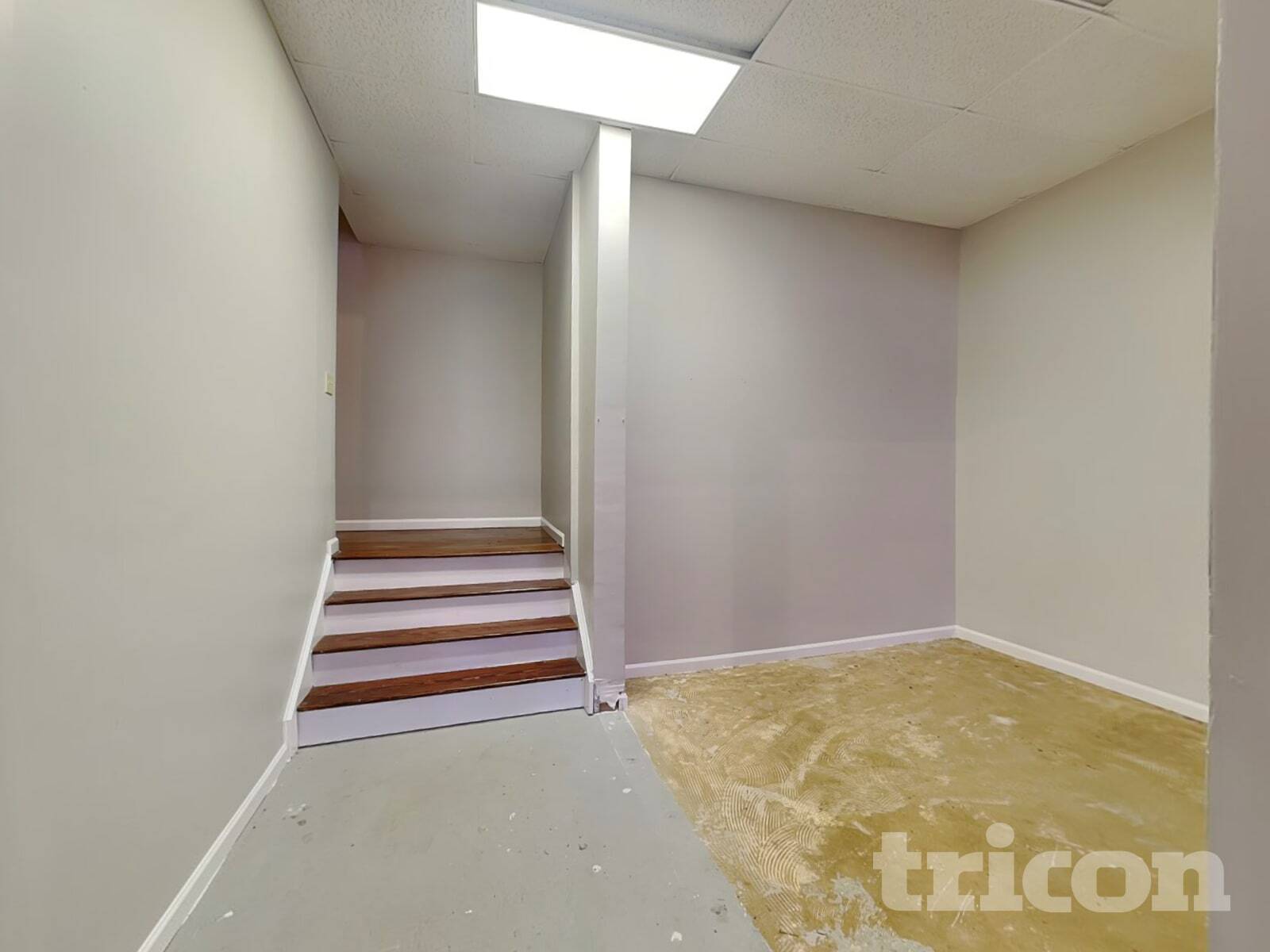 Building Photo - 504 Anthony Pl