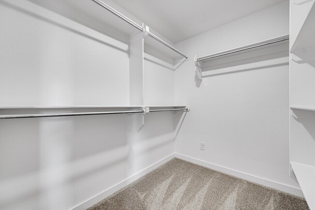 Building Photo - 6210 Appaloosa Ln