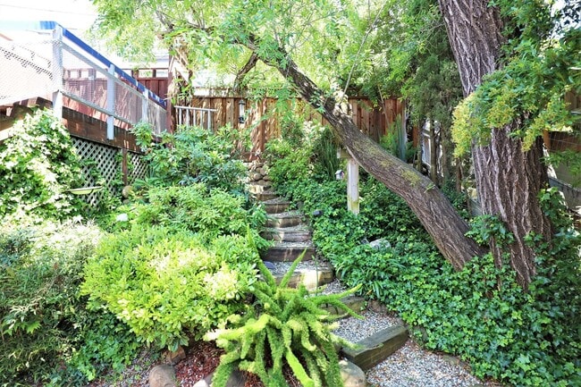 Building Photo - Stunning Mid-Century Modern 3 Bed/ 2 Bath ...