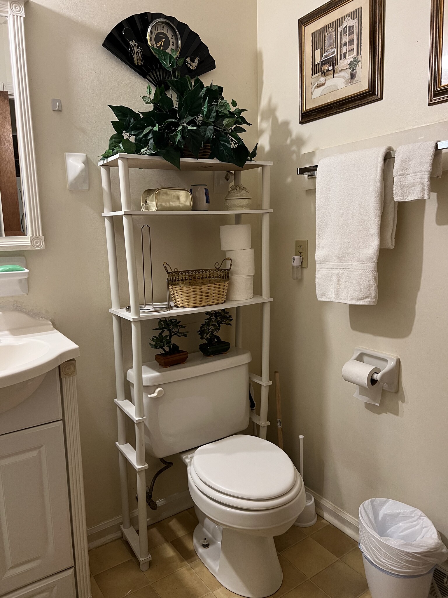 Side B Bathroom - 589 Eureka Springs Dr