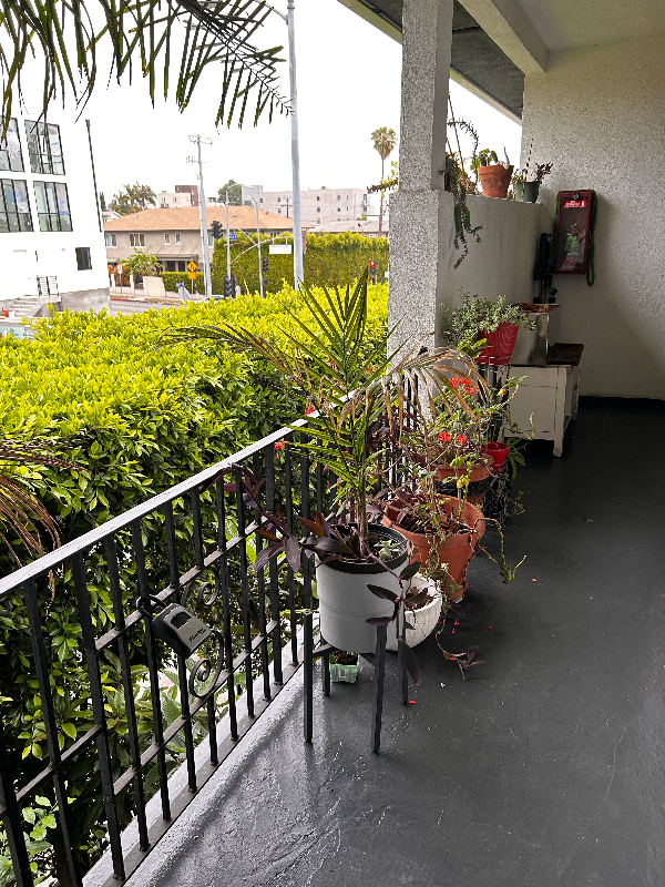 Building Photo - 4800 Beverly Blvd