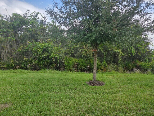 Building Photo - 55+ Gated Community at Palms at Serenoa