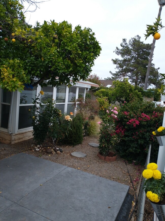 Building Photo - 1907 Clover Way