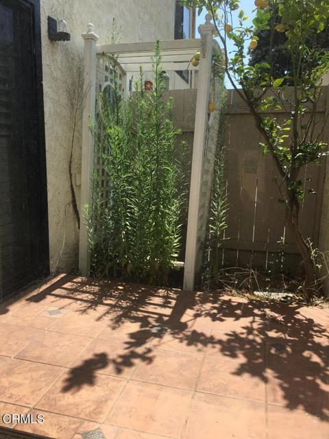 Building Photo - 627 Terrace View Pl