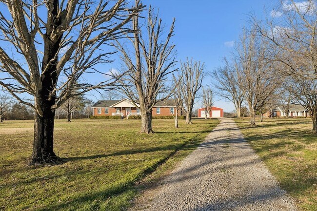 Building Photo - 353 Branham Mill Rd