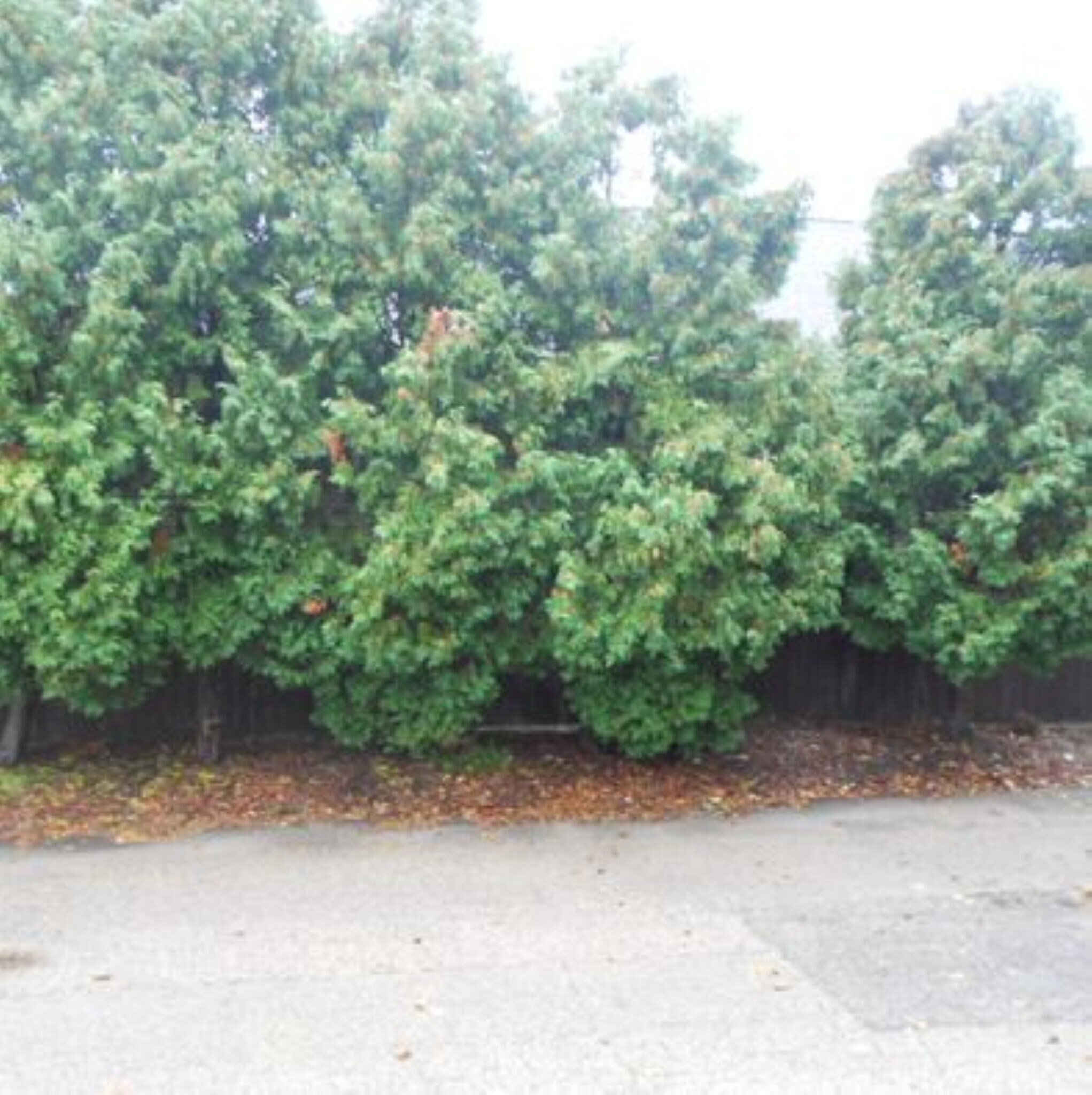 Building Photo - 112 E Dean Ave