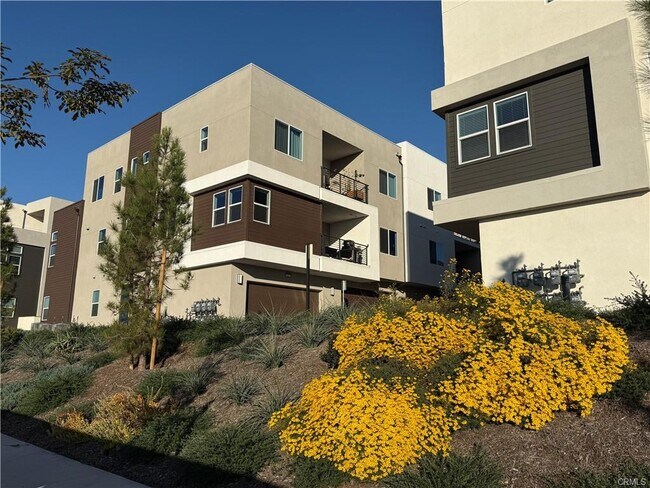 Primary Photo - 479 Mulligan