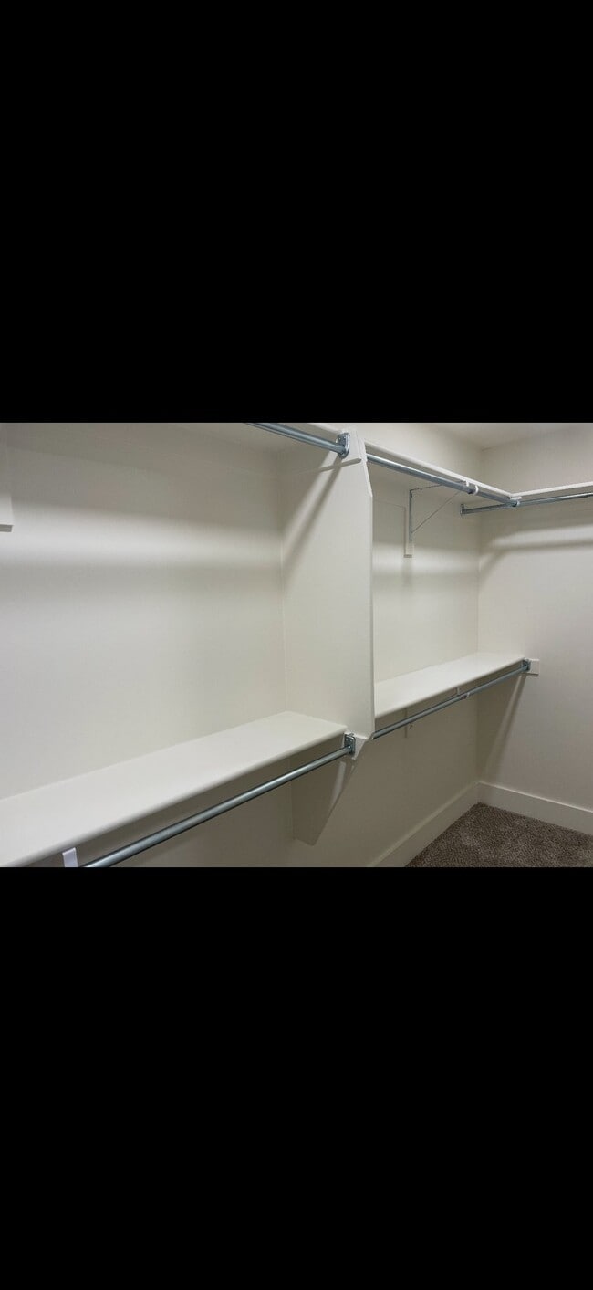 Building Photo - 4507 Searle Ln