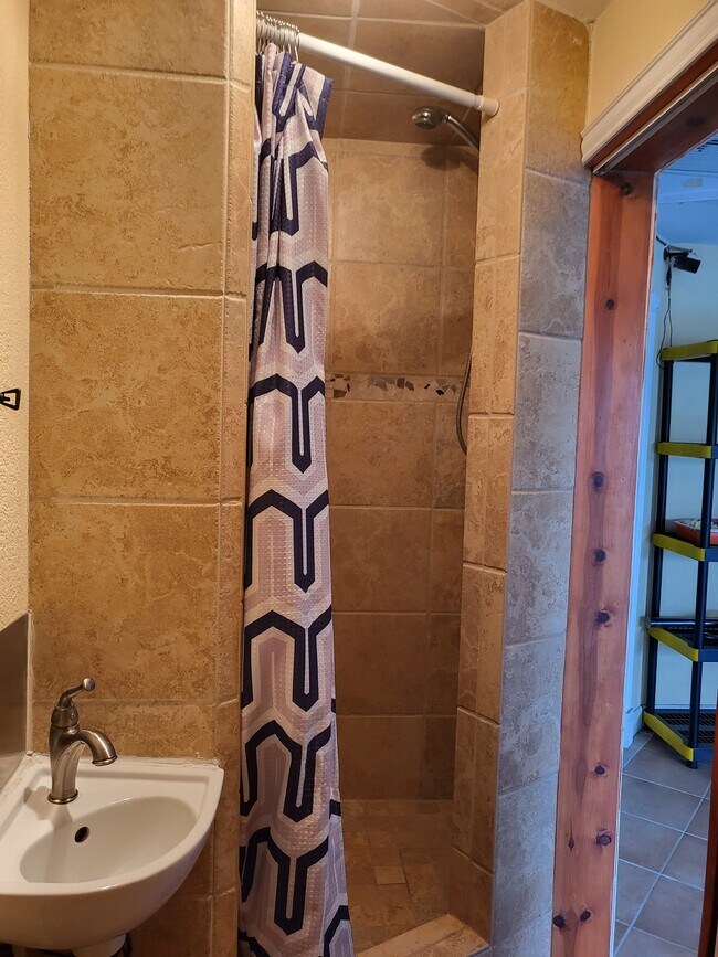 Lower Level Shower - 888 Davis Rd