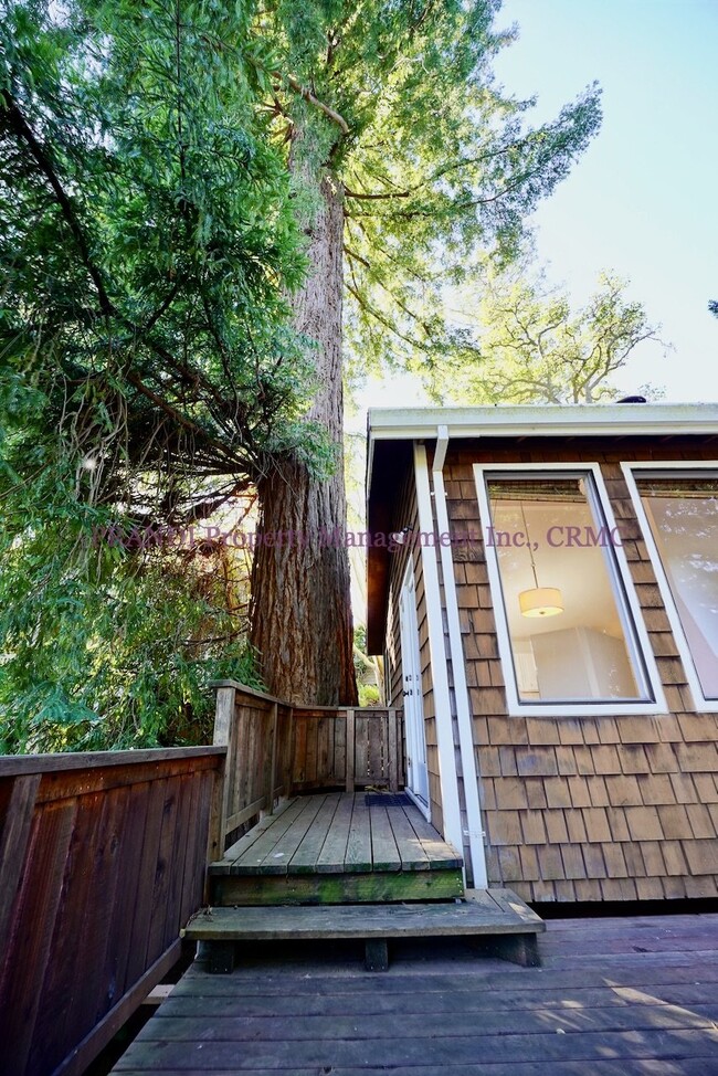 Building Photo - Quintessential Mill Valley Home Nestled in...