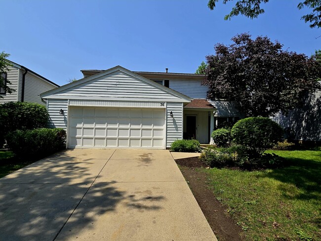 Primary Photo - 36 Monterey Dr