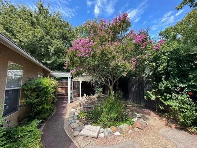 Building Photo - Gem of a rental home in East Davis
