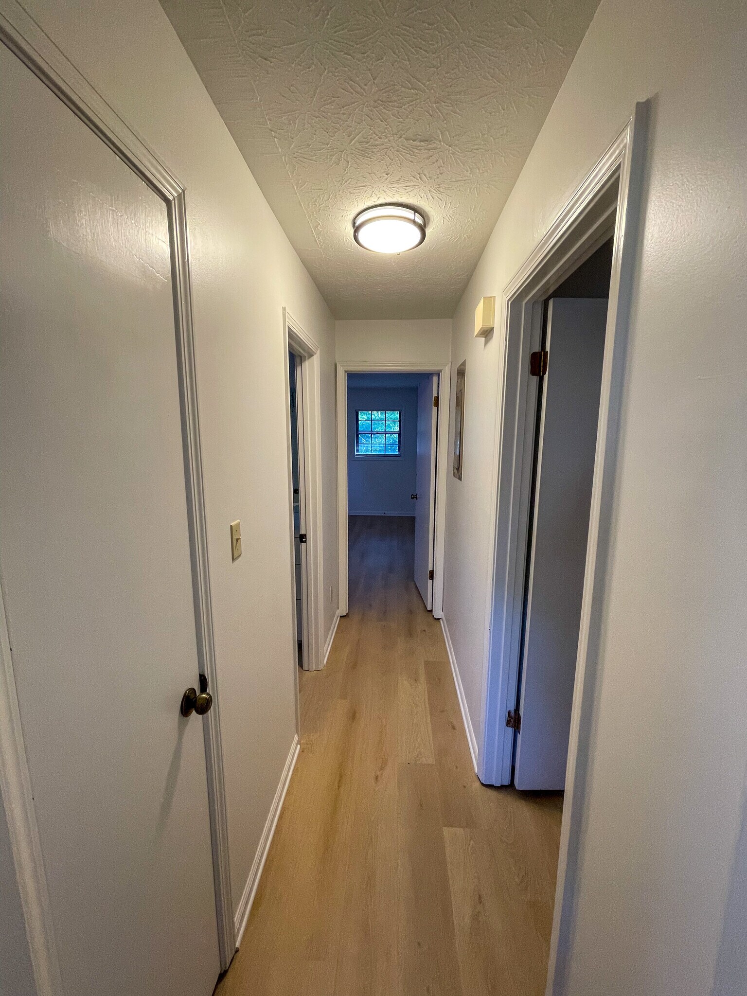 Building Photo - 1043 Chestnut Oak Ct NE