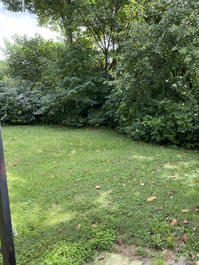 Backyard - 234 Tates Creek Ave