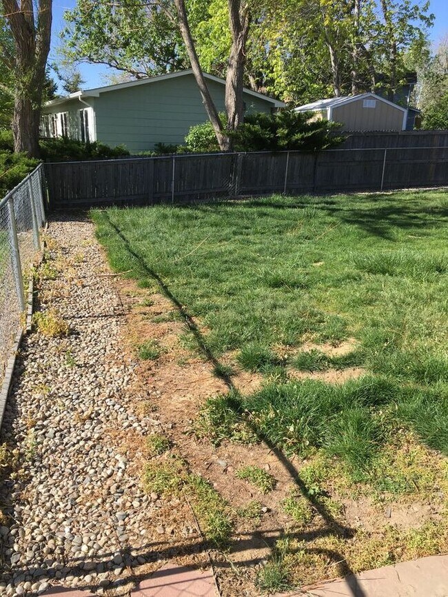 Building Photo - 3 Bedroom Home in SW Loveland!
