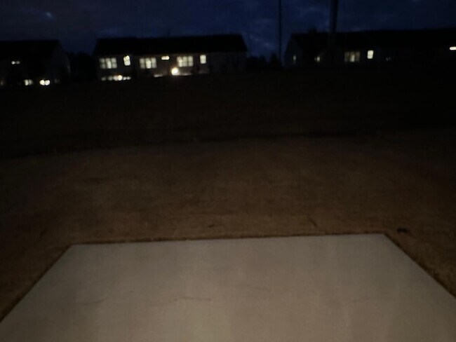 Building Photo - 1007 Blissful Waters St