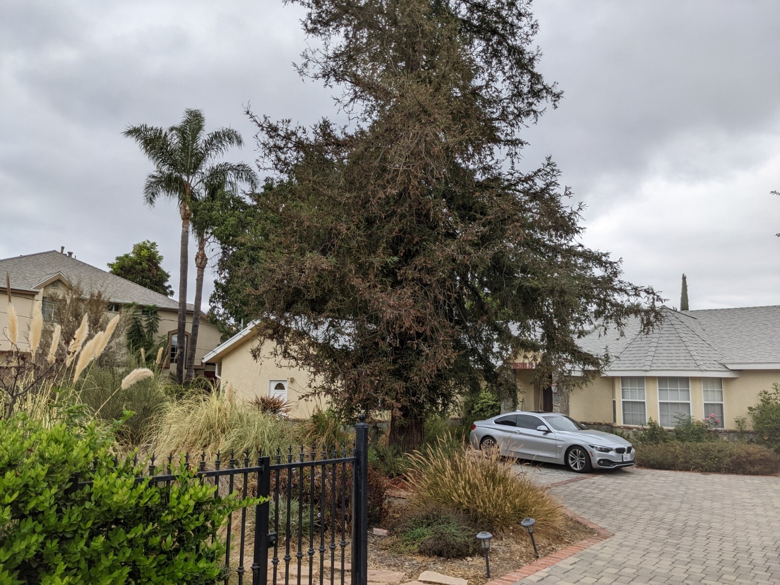 Front garden w/security gate - 17915 Erwin St